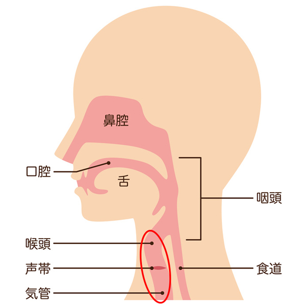 唾 を 飲み込ま ない 方法