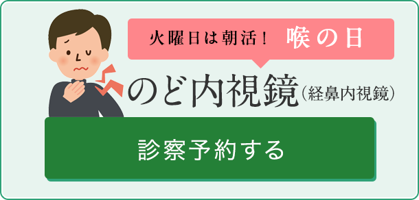 のど内視鏡(経鼻内視鏡)